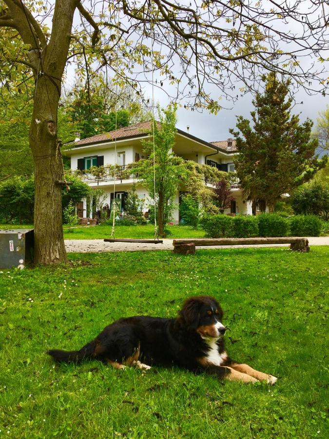 B&B La Libellula Castelnuovo Nigra Экстерьер фото